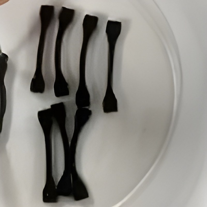 Prototype graphene-based ligament scaffolds in a petri dish.